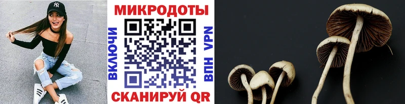 цена   Ханты-Мансийск  Псилоцибиновые грибы прущие грибы 