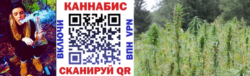 Бошки Шишки семена Ханты-Мансийск