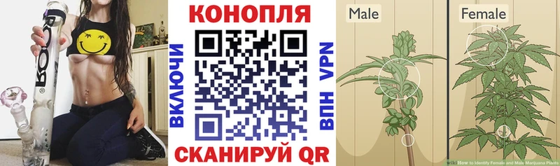 Конопля THC 21%  Ханты-Мансийск 